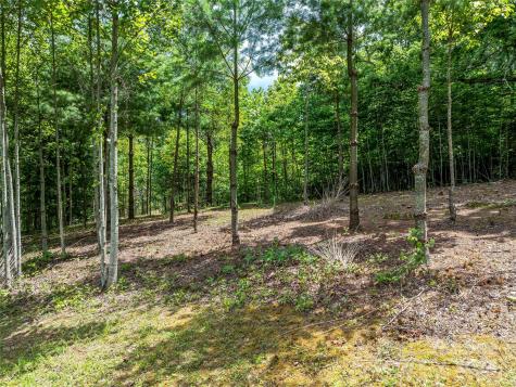 1814 Bella Vista Court Arden NC 28704