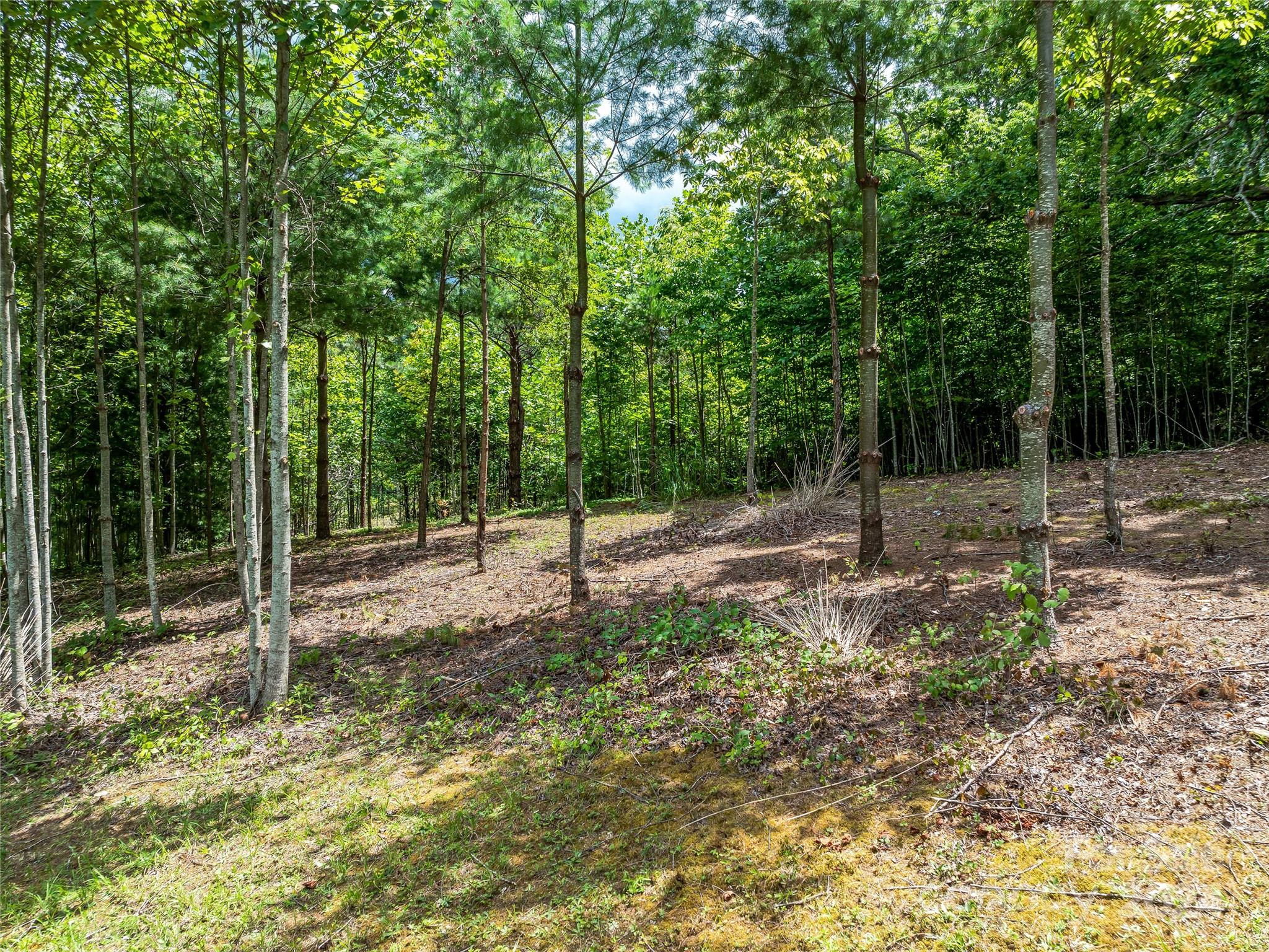 1814 Bella Vista Court Arden NC 28704