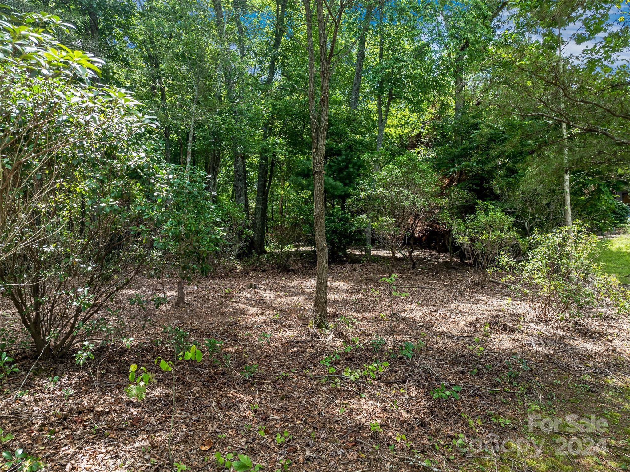 1814 Bella Vista Court Arden NC 28704