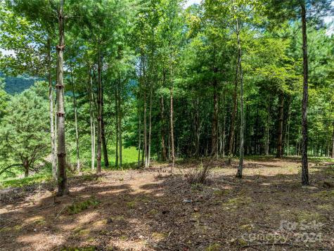 1814 Bella Vista Court Arden NC 28704