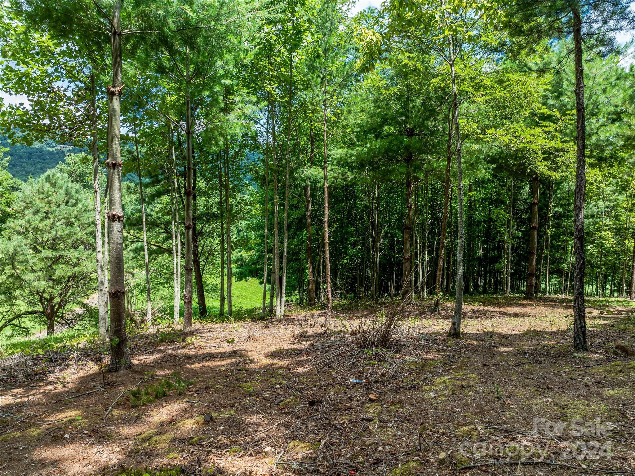 1814 Bella Vista Court Arden NC 28704