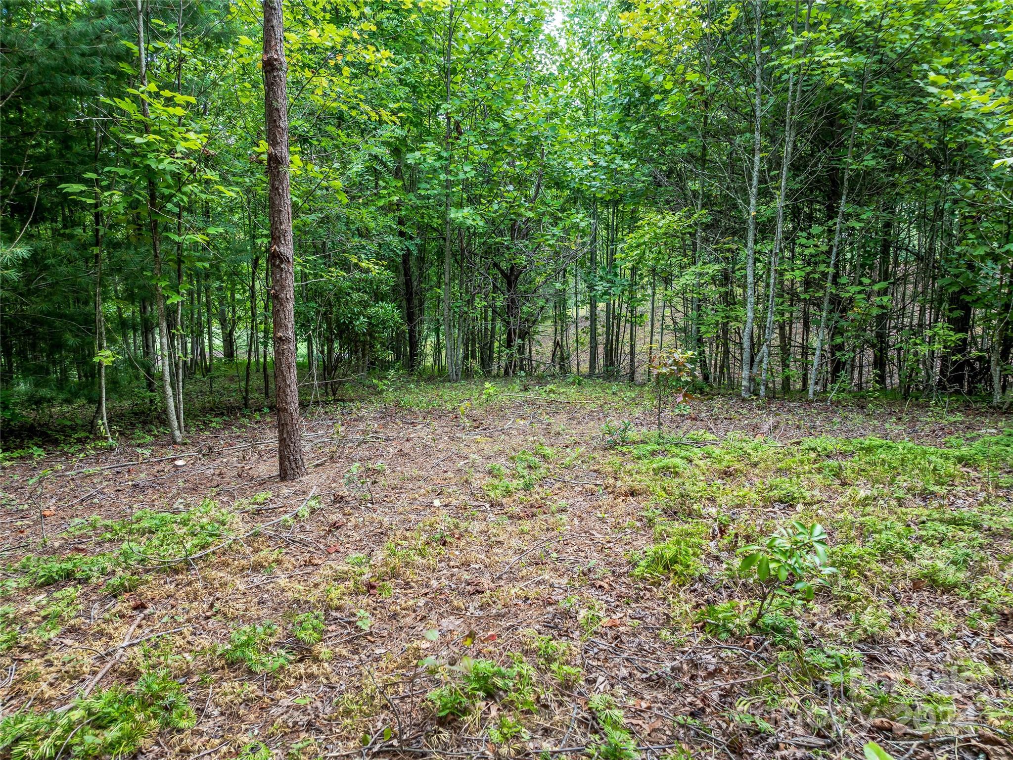 1814 Bella Vista Court Arden NC 28704