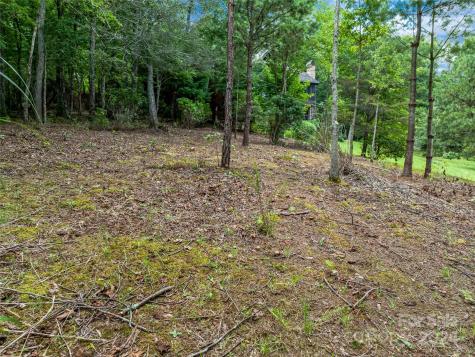 1814 Bella Vista Court Arden NC 28704