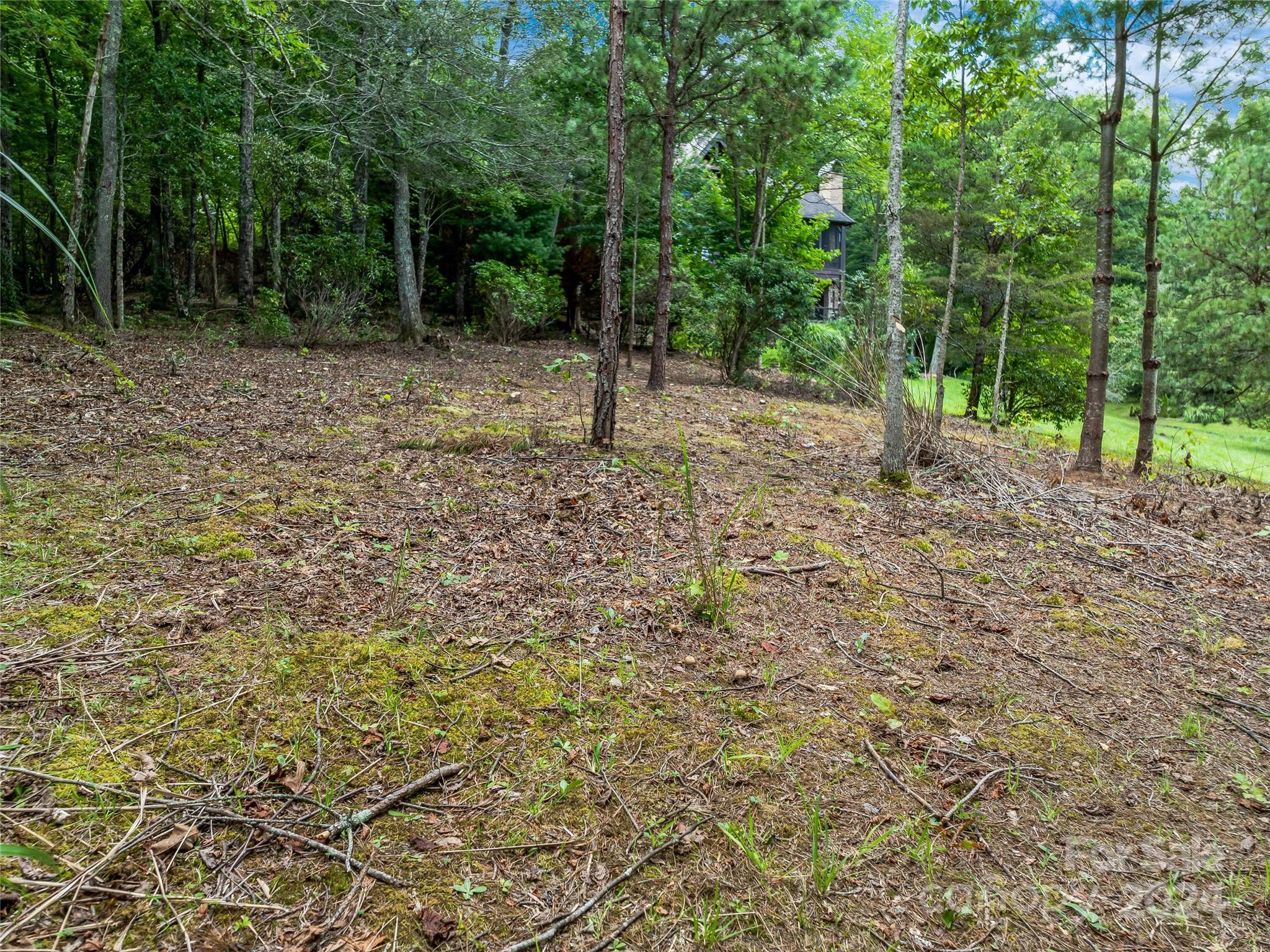 1814 Bella Vista Court Arden NC 28704