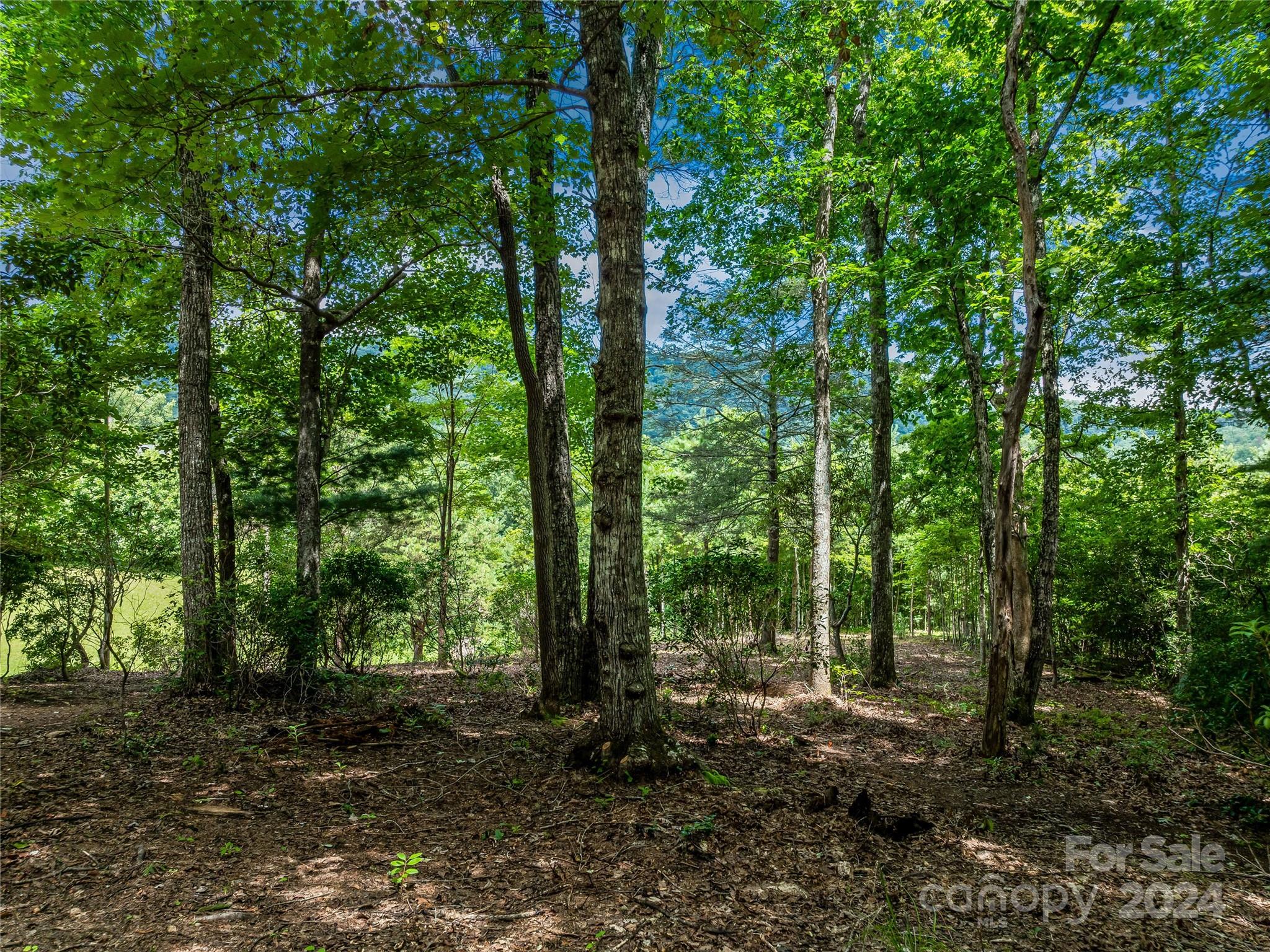 1814 Bella Vista Court Arden NC 28704
