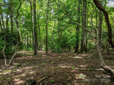 1814 Bella Vista Court Arden NC 28704