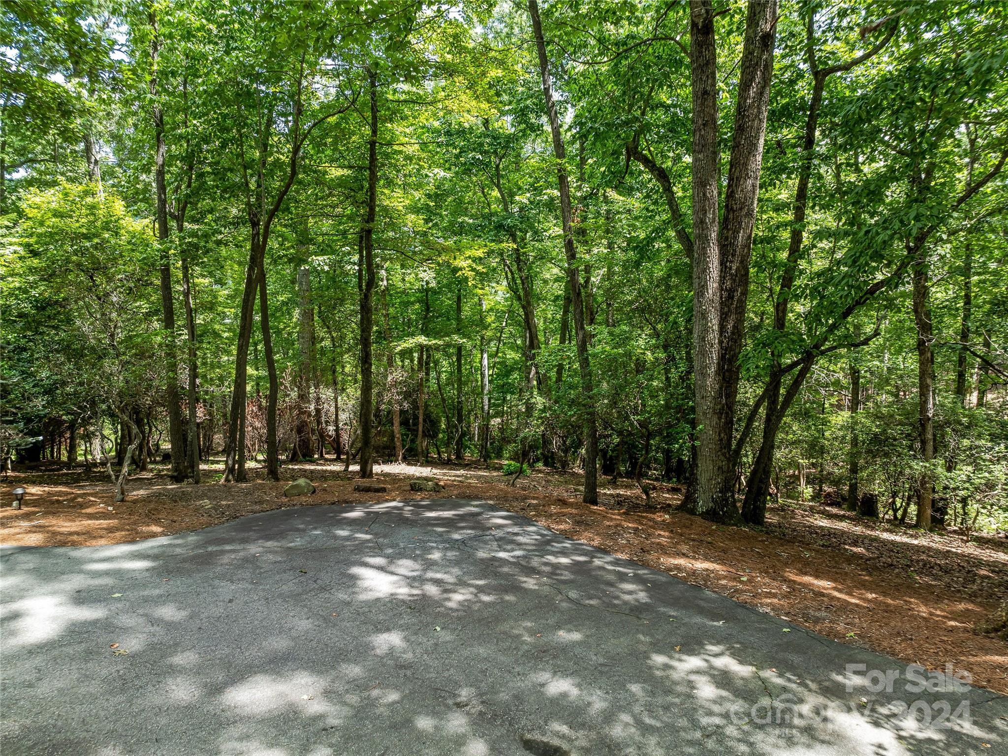 1814 Bella Vista Court Arden NC 28704