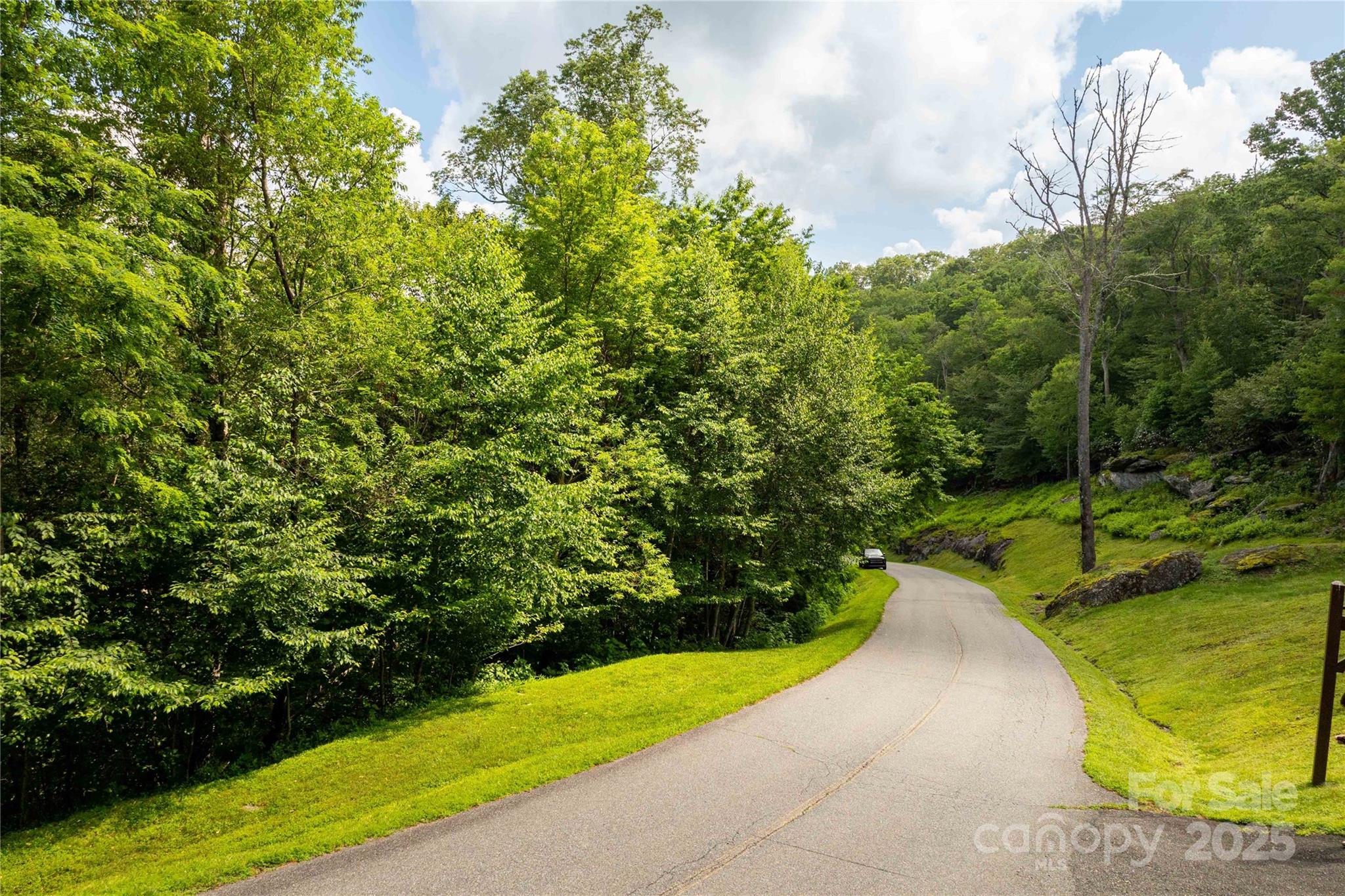 Tbd Lot 124 Firethorn Trail Blowing Rock NC 28605