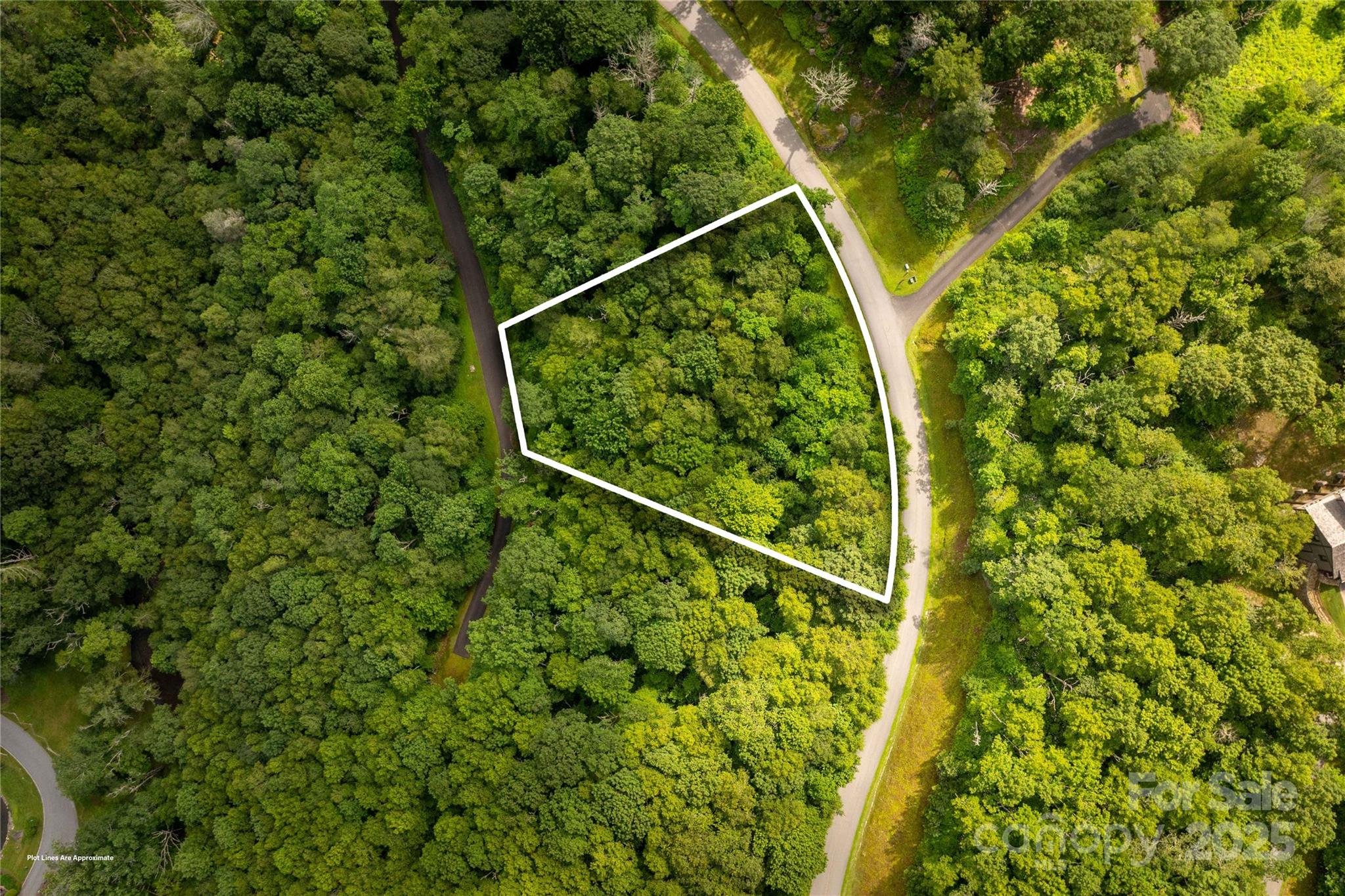 Tbd Lot 124 Firethorn Trail Blowing Rock NC 28605