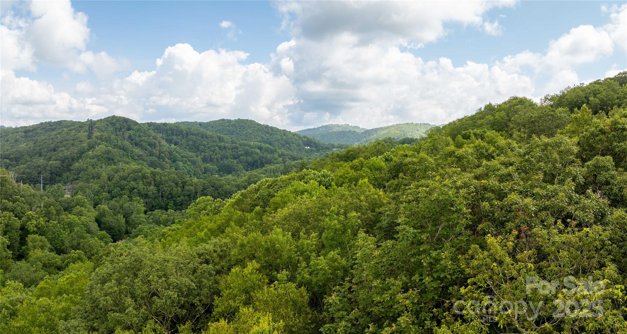 Tbd Lot 124 Firethorn Trail Blowing Rock NC 28605