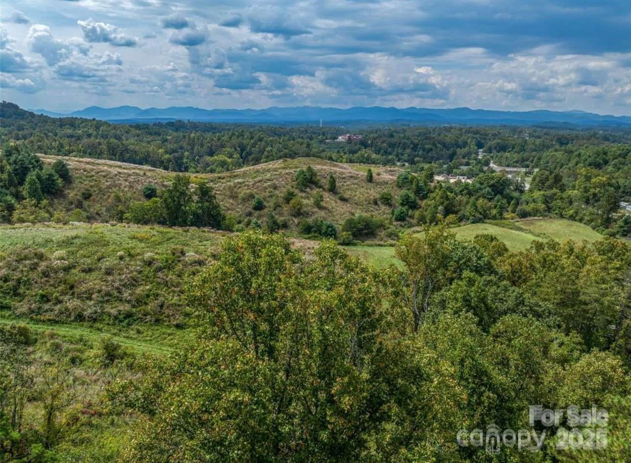 87 Barnardsville Highway Weaverville NC 28787