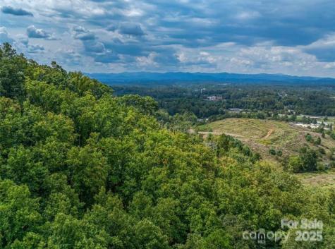 87 Barnardsville Highway Weaverville NC 28787