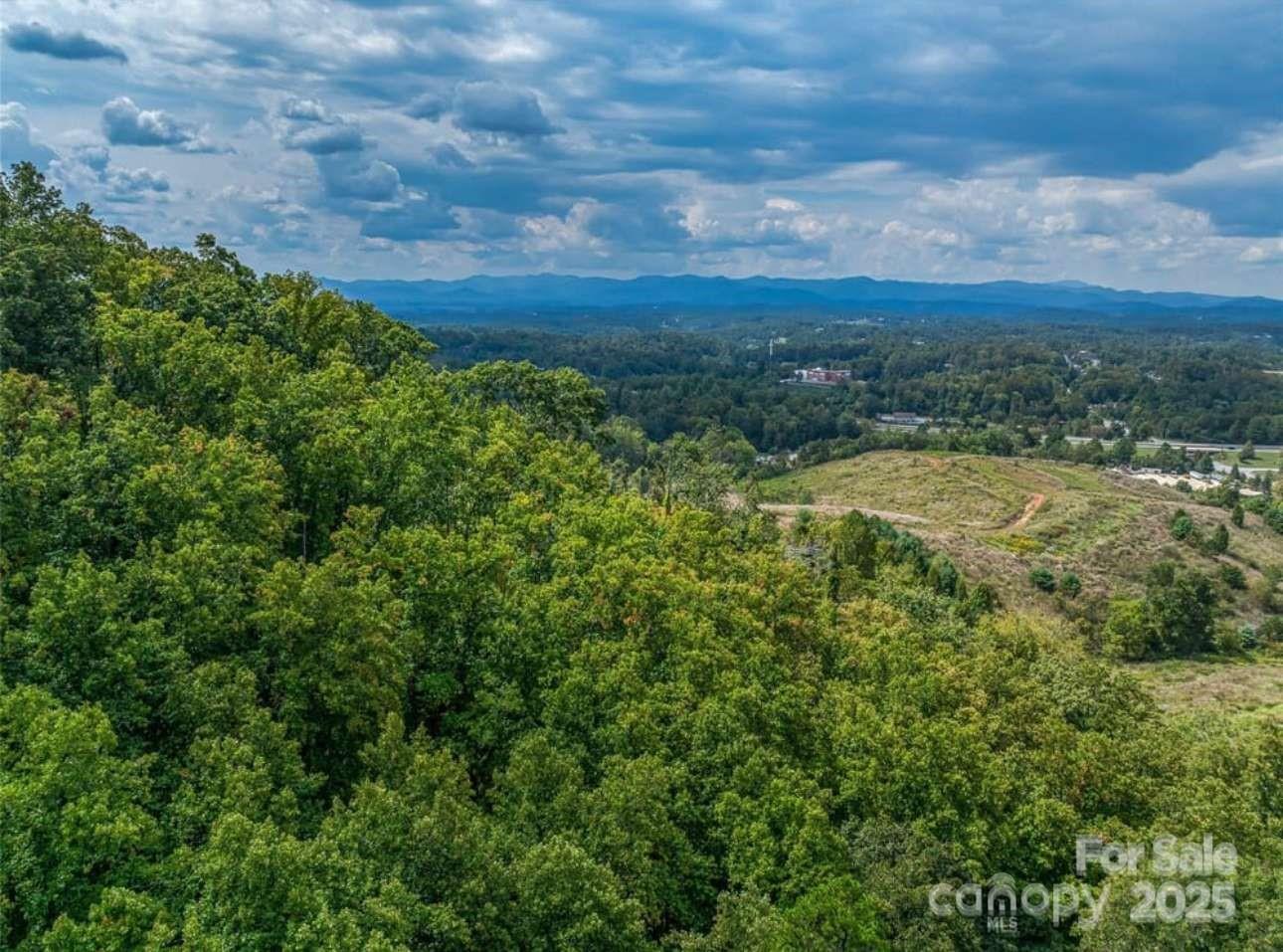 87 Barnardsville Highway Weaverville NC 28787