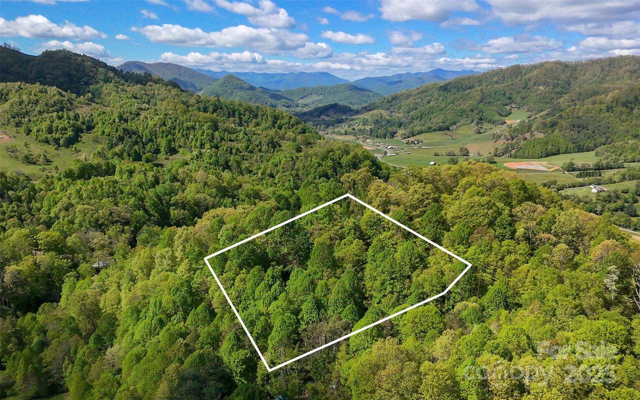 72 Lonesome Pines Road Clyde NC 28721