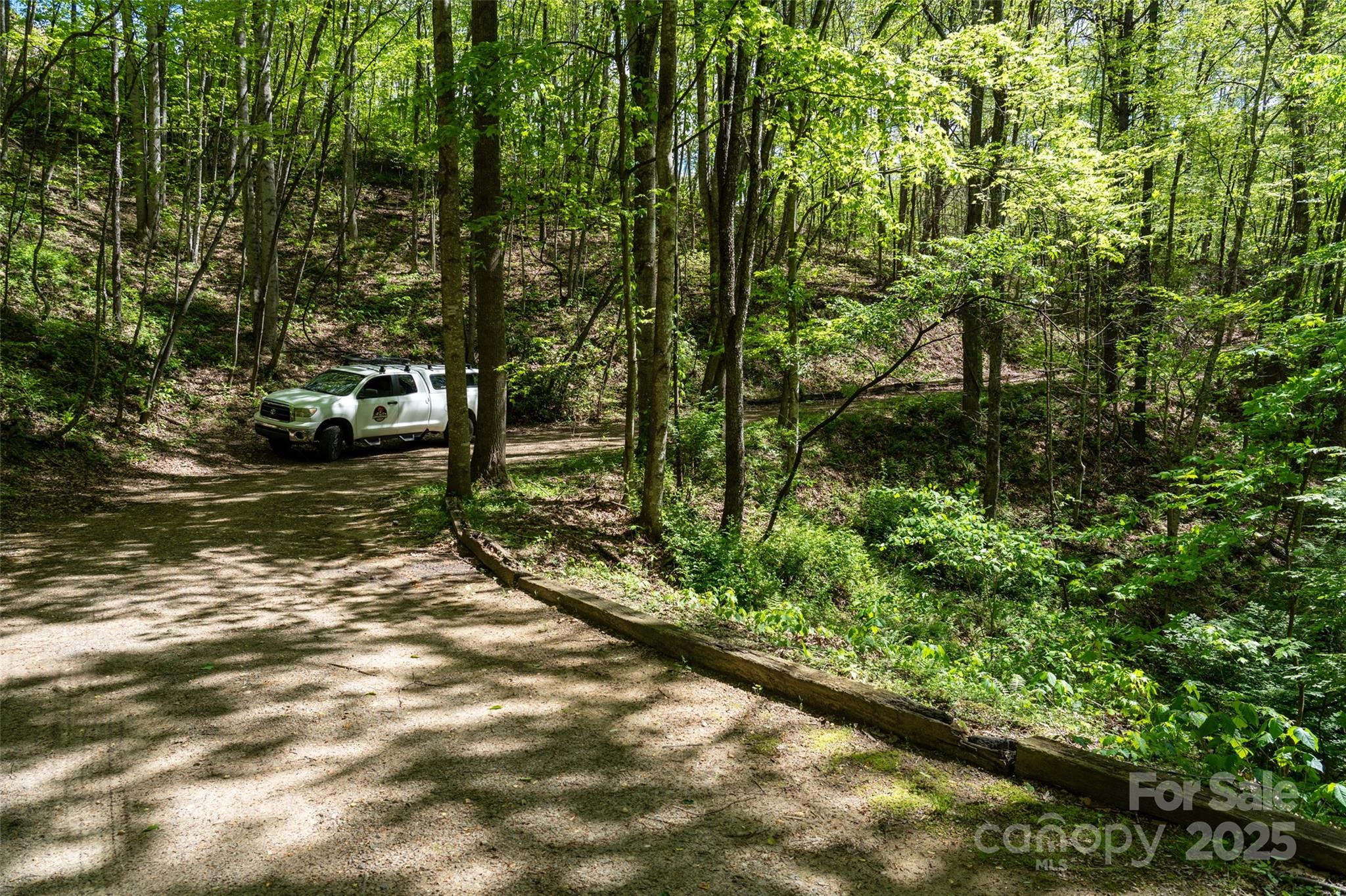 72 Lonesome Pines Road Clyde NC 28721
