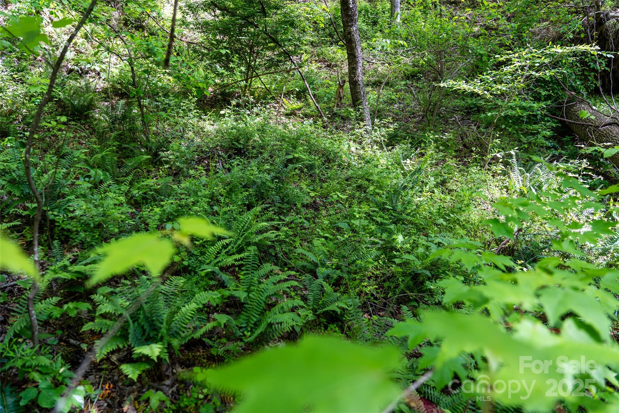 72 Lonesome Pines Road Clyde NC 28721
