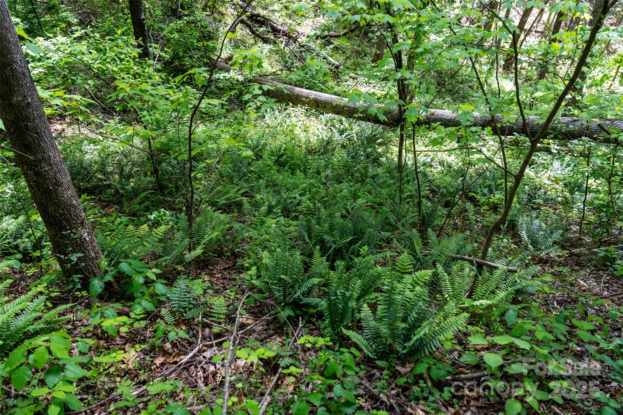 72 Lonesome Pines Road Clyde NC 28721