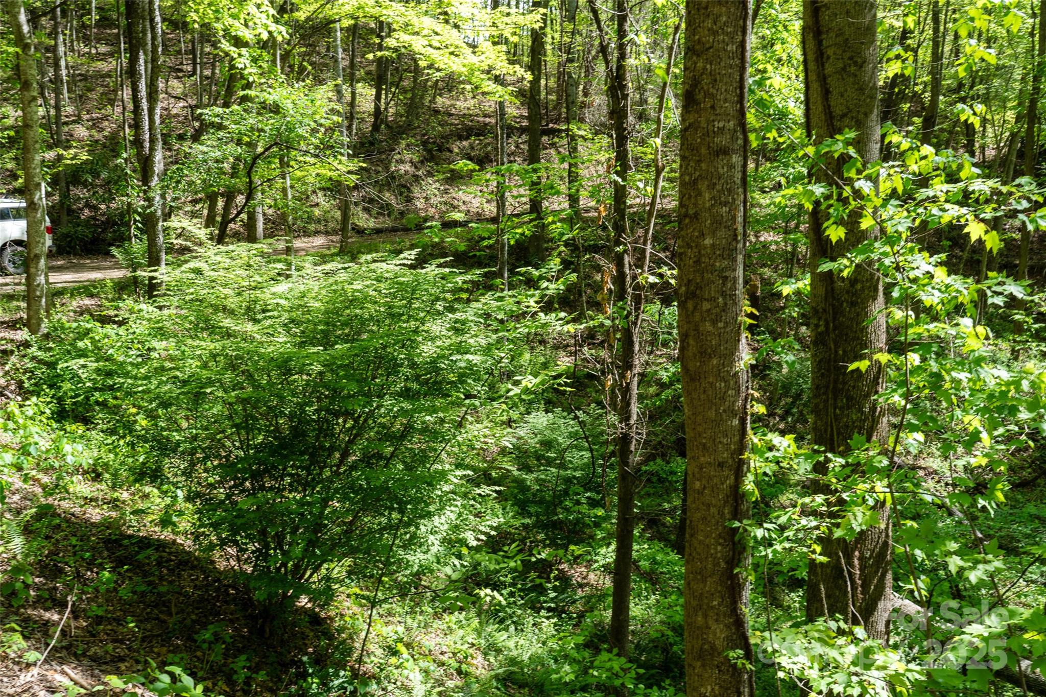 72 Lonesome Pines Road Clyde NC 28721