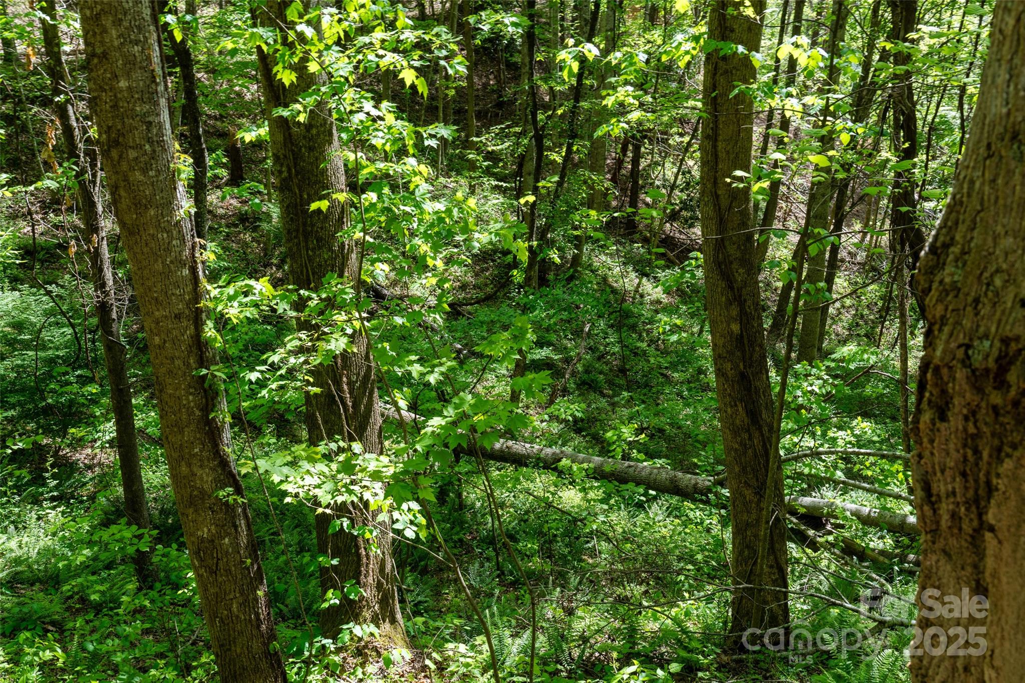 72 Lonesome Pines Road Clyde NC 28721