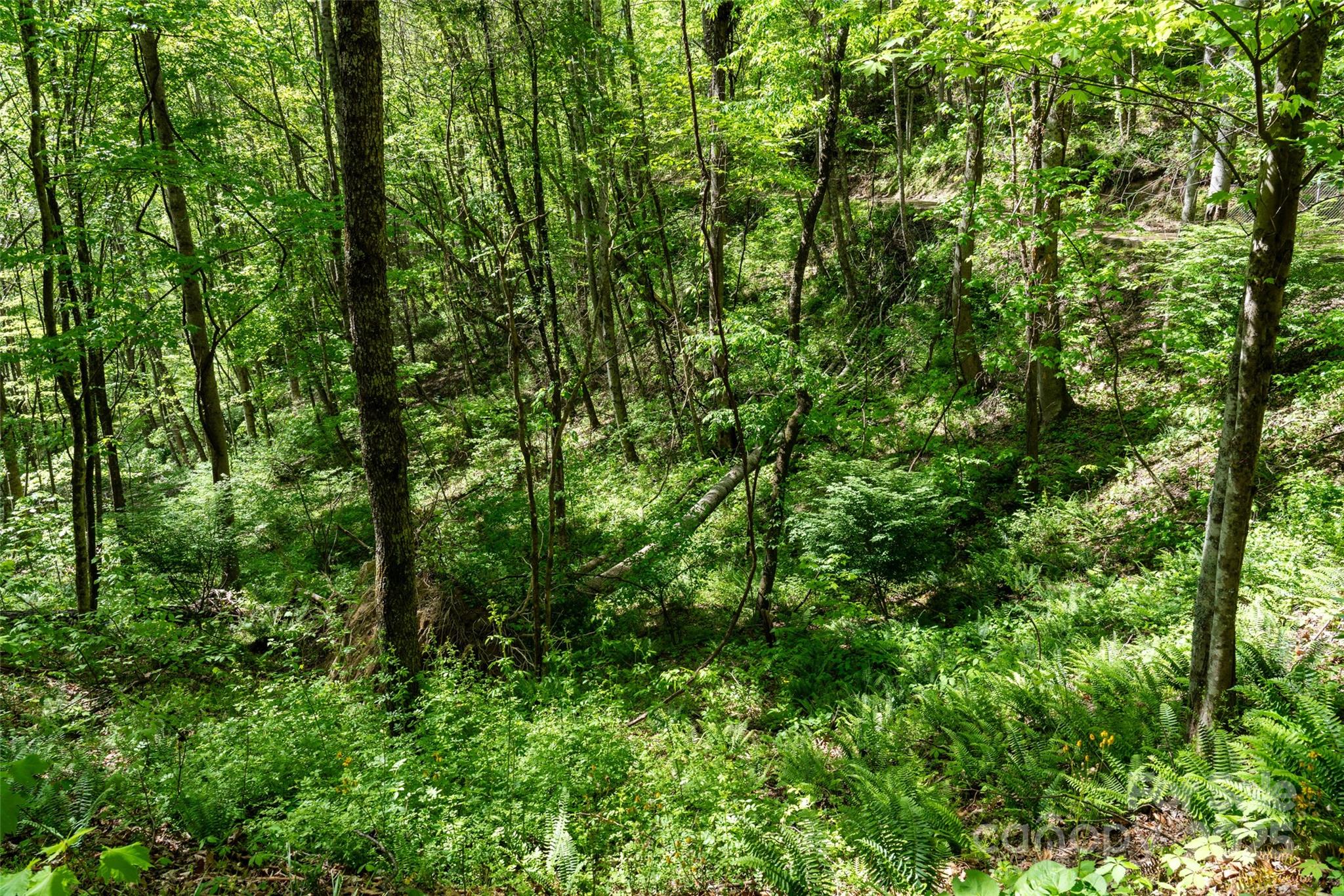 72 Lonesome Pines Road Clyde NC 28721
