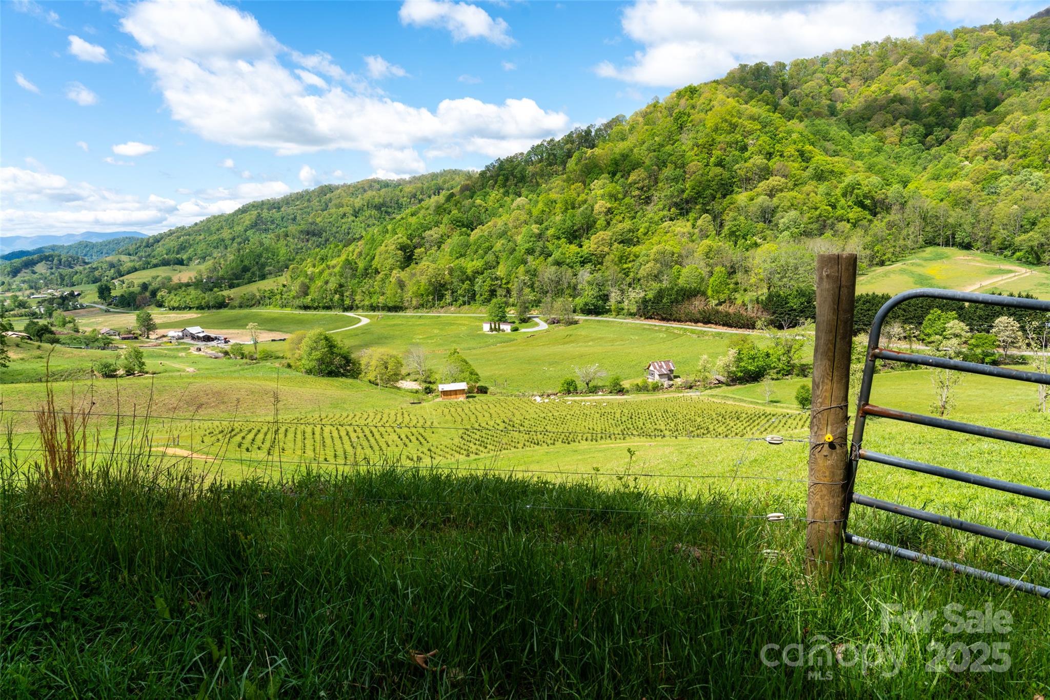 72 Lonesome Pines Road Clyde NC 28721