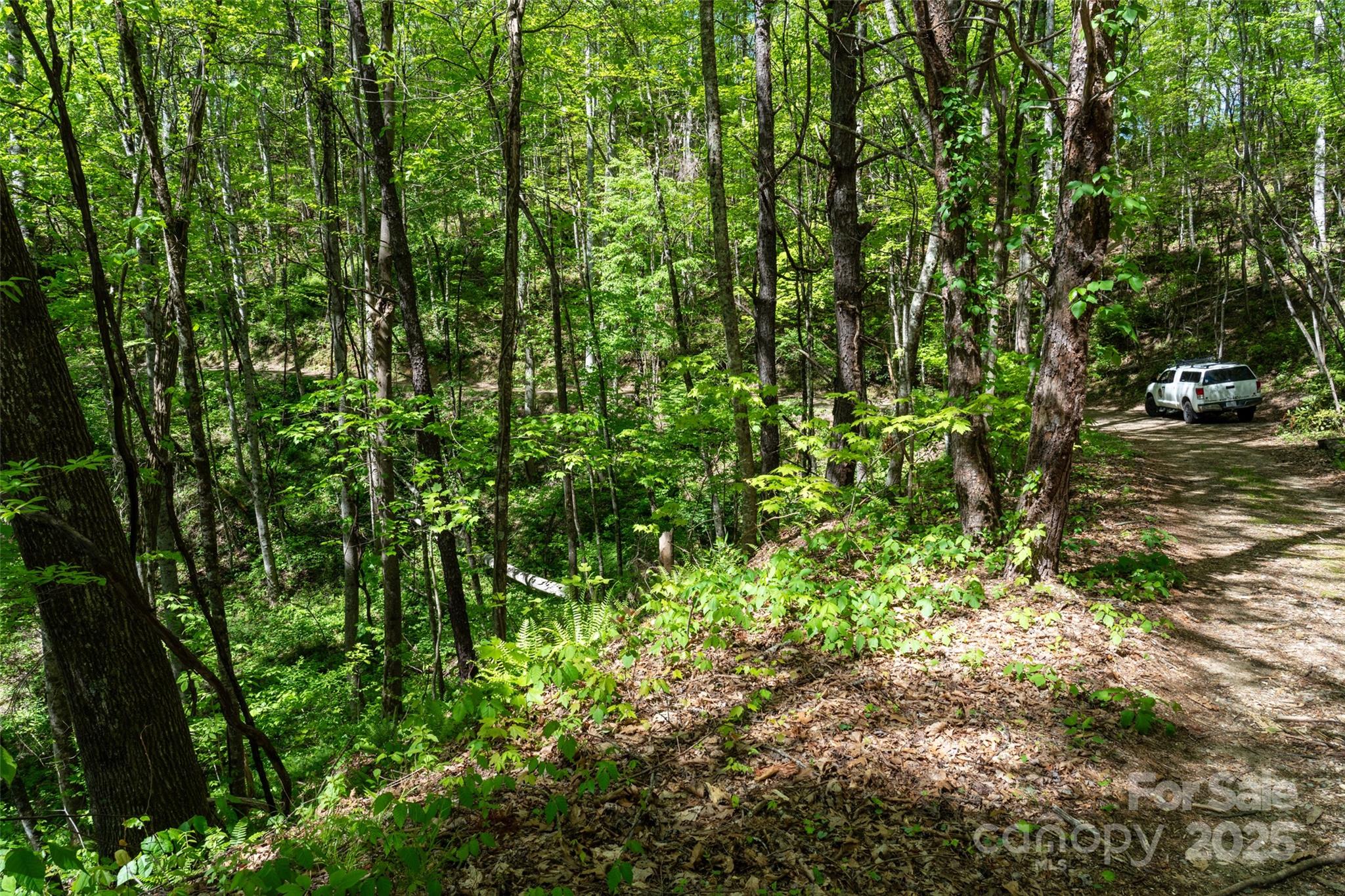 72 Lonesome Pines Road Clyde NC 28721
