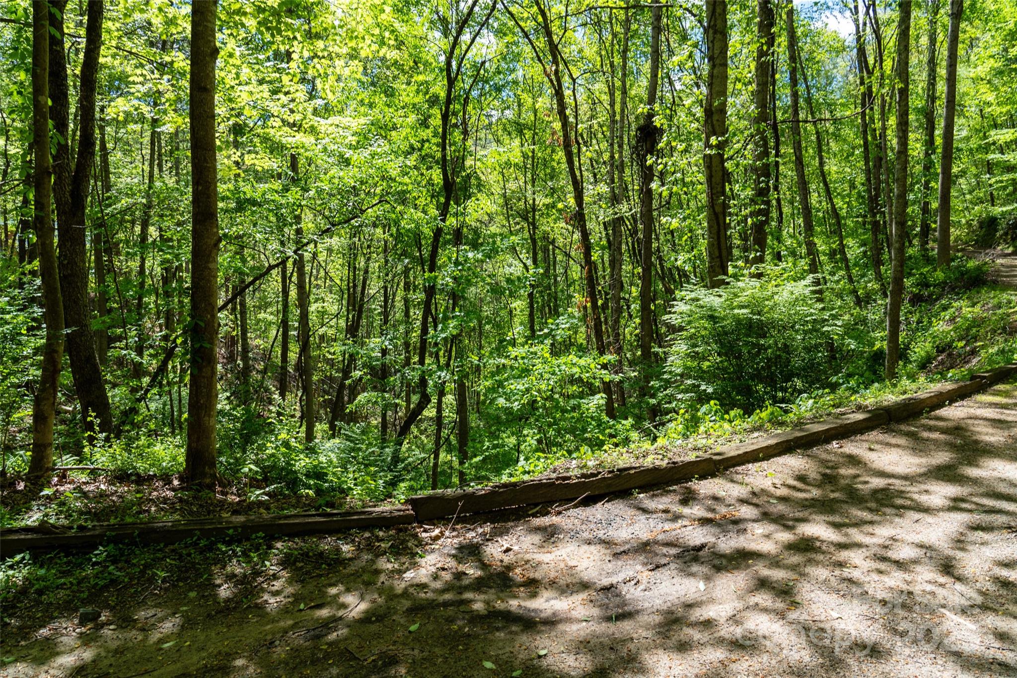 72 Lonesome Pines Road Clyde NC 28721