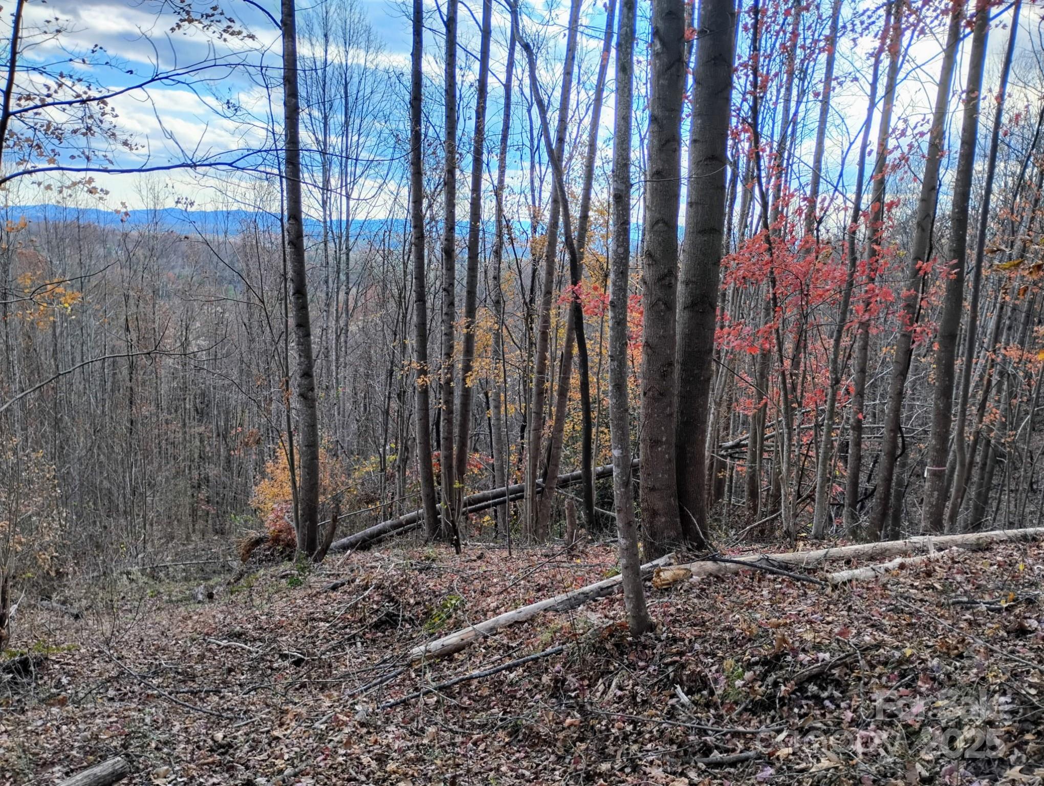4899 White Oak Way Lenoir NC 28645
