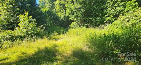 8 Lots Frontier Way Waynesville NC 28785