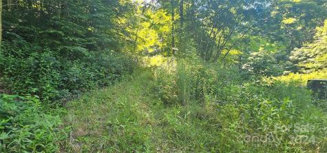 8 Lots Frontier Way Waynesville NC 28785