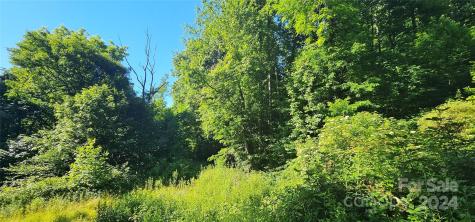 8 Lots Frontier Way Waynesville NC 28785