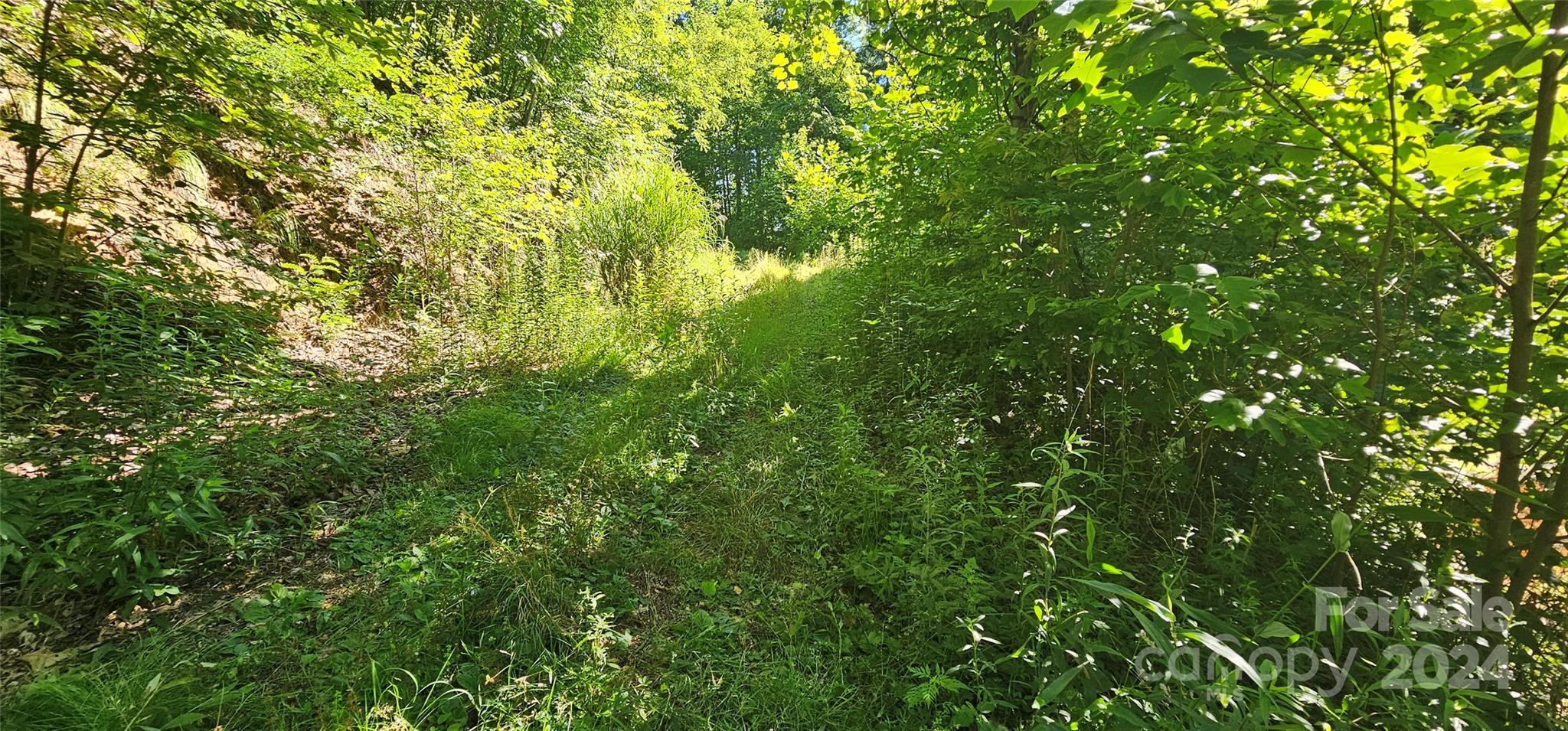 8 Lots Frontier Way Waynesville NC 28785