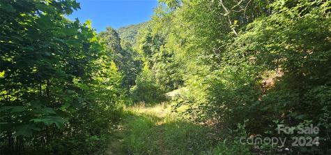 8 Lots Frontier Way Waynesville NC 28785