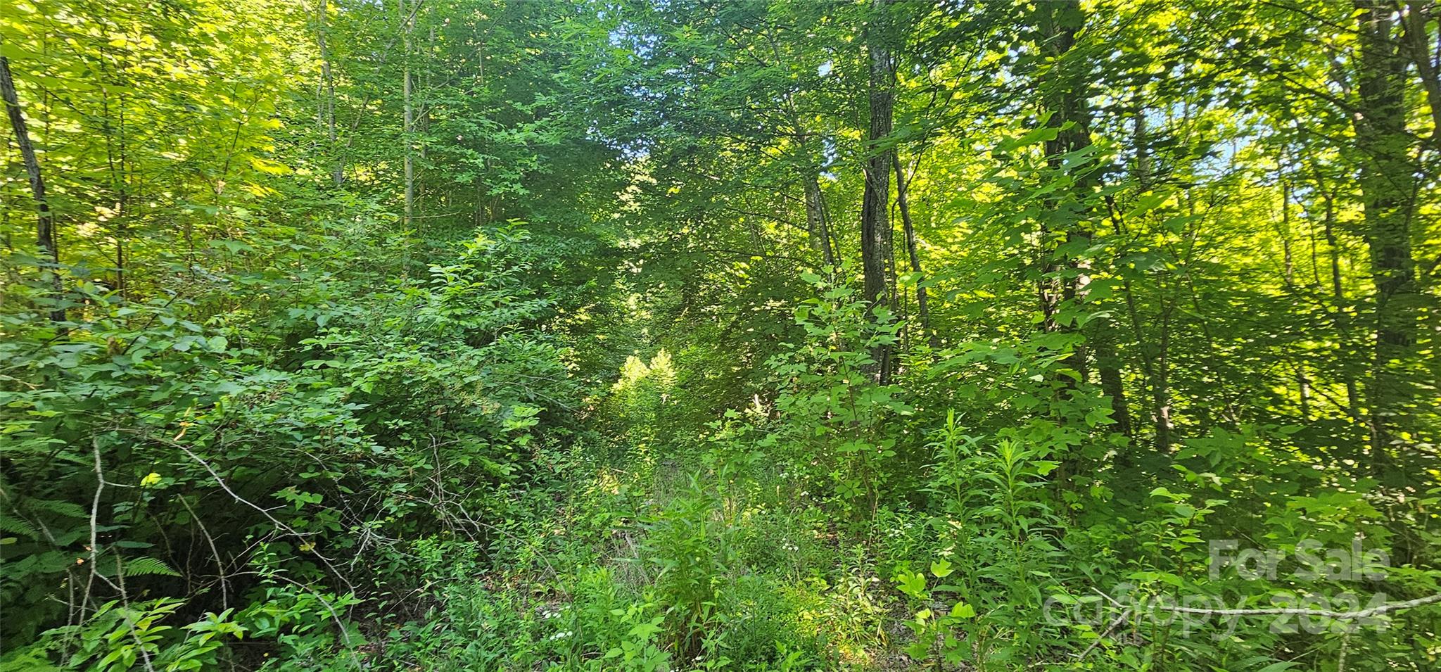 8 Lots Frontier Way Waynesville NC 28785