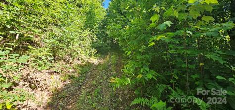8 Lots Frontier Way Waynesville NC 28785