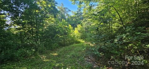 8 Lots Frontier Way Waynesville NC 28785