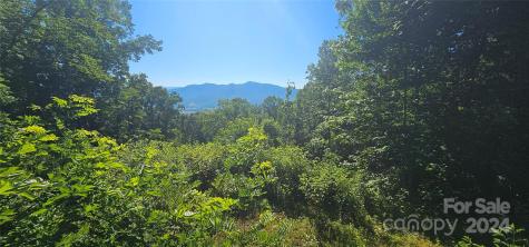 8 Lots Frontier Way Waynesville NC 28785