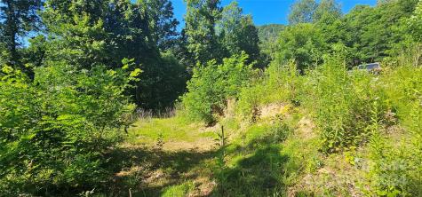 8 Lots Frontier Way Waynesville NC 28785