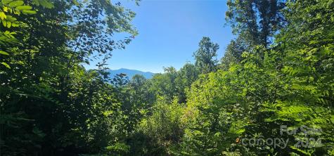 8 Lots Frontier Way Waynesville NC 28785