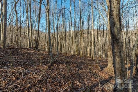 885 Stoney Stream Lane Arden NC 28704