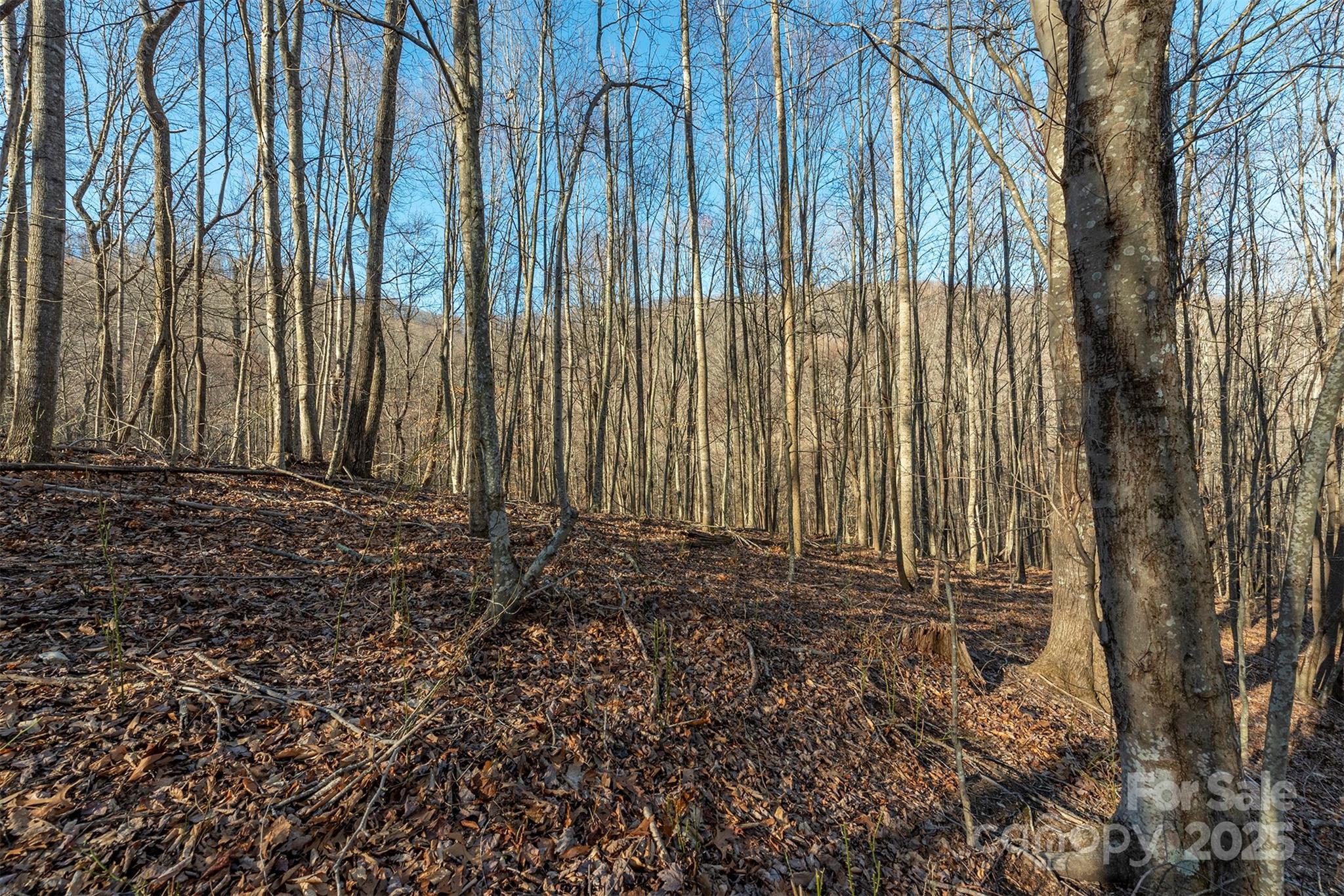 885 Stoney Stream Lane Arden NC 28704