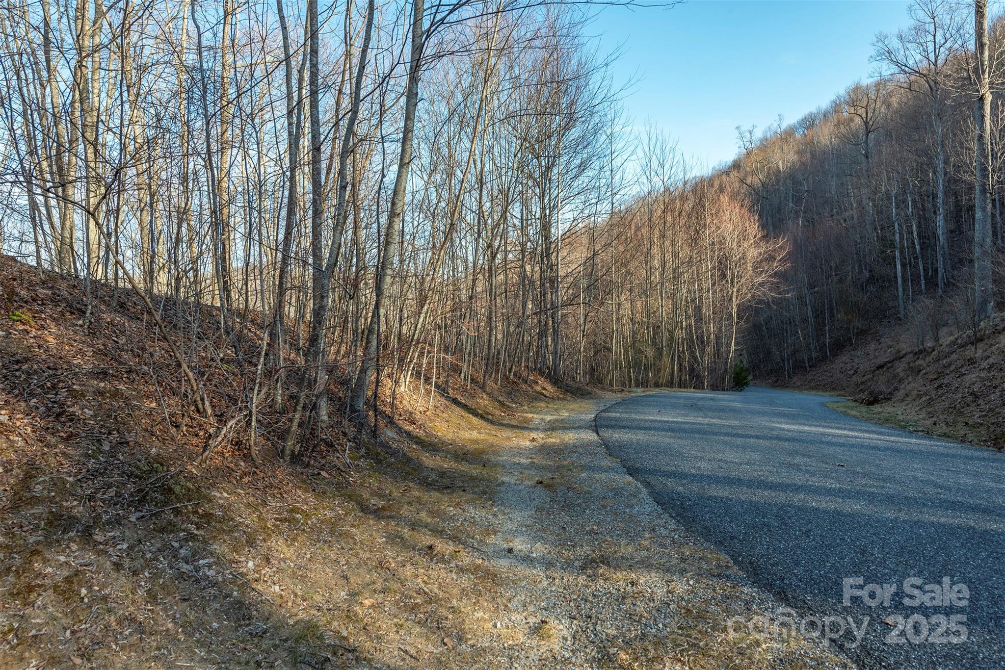885 Stoney Stream Lane Arden NC 28704