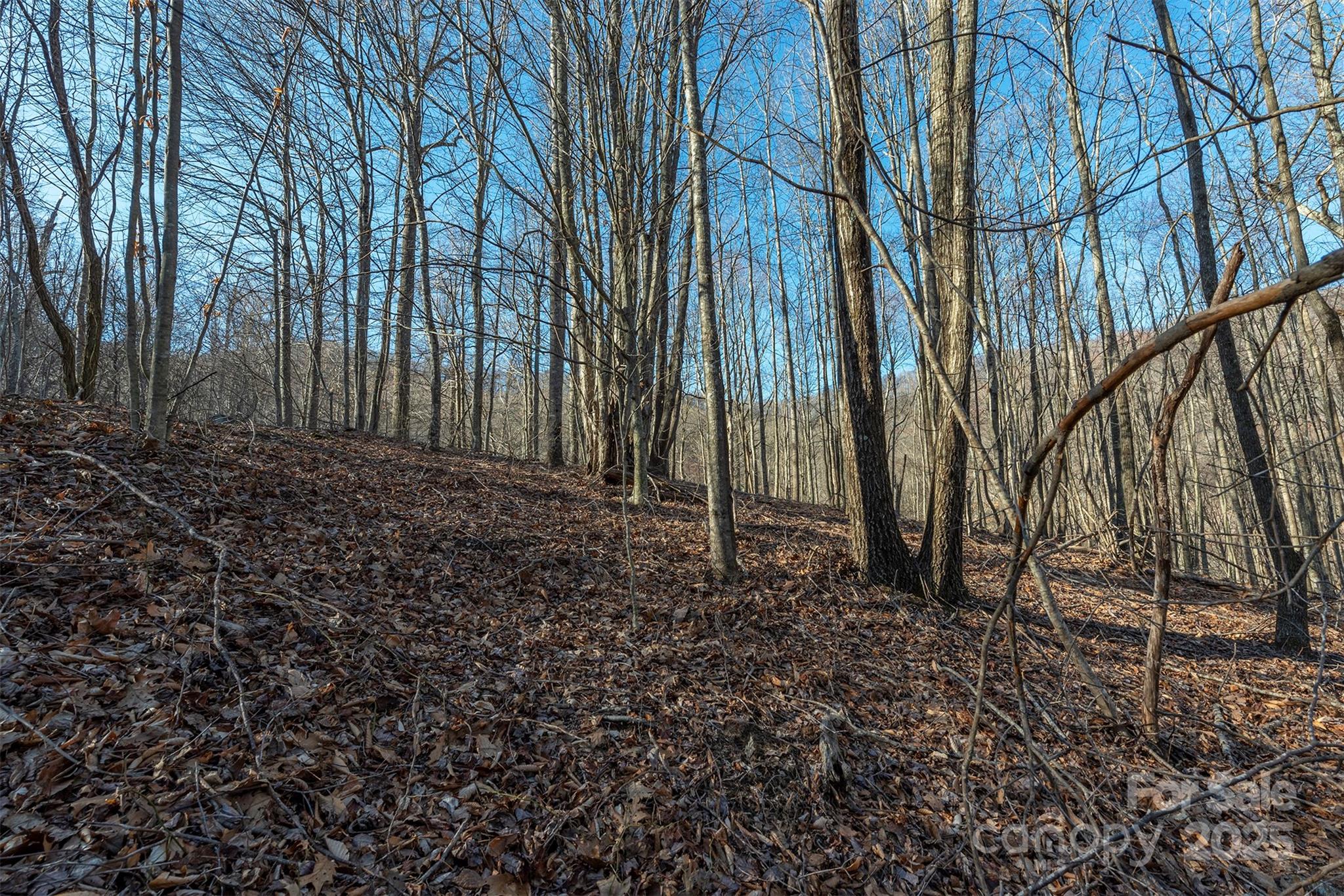 885 Stoney Stream Lane Arden NC 28704