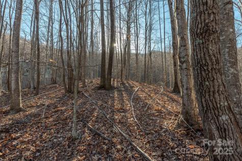 885 Stoney Stream Lane Arden NC 28704