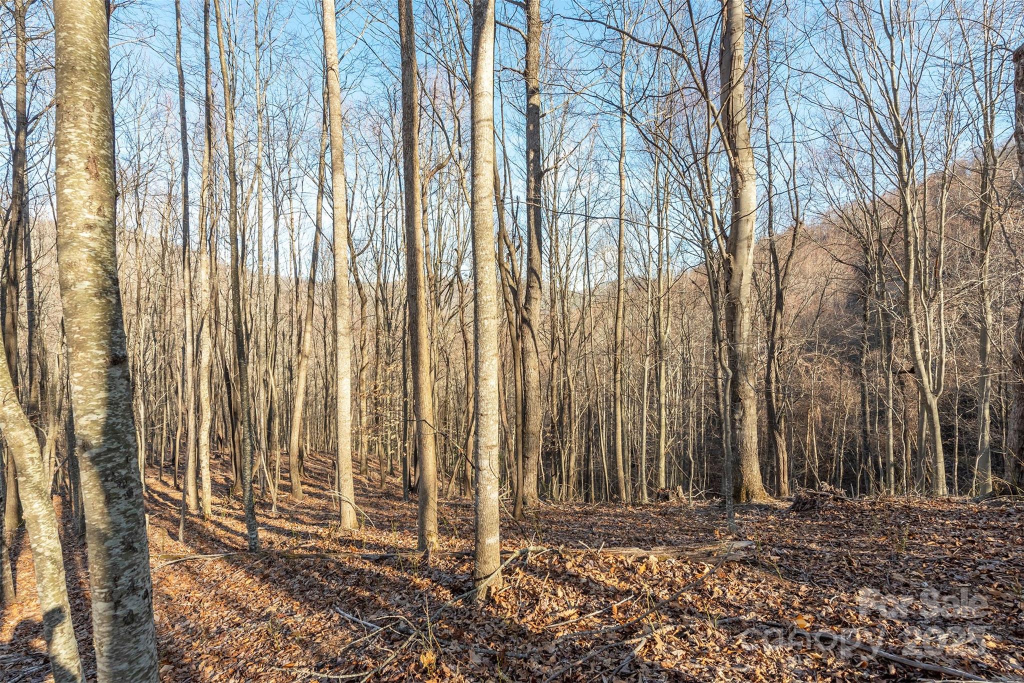 885 Stoney Stream Lane Arden NC 28704