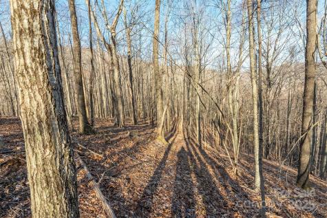 885 Stoney Stream Lane Arden NC 28704