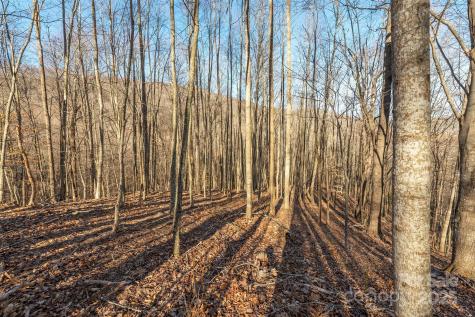 885 Stoney Stream Lane Arden NC 28704