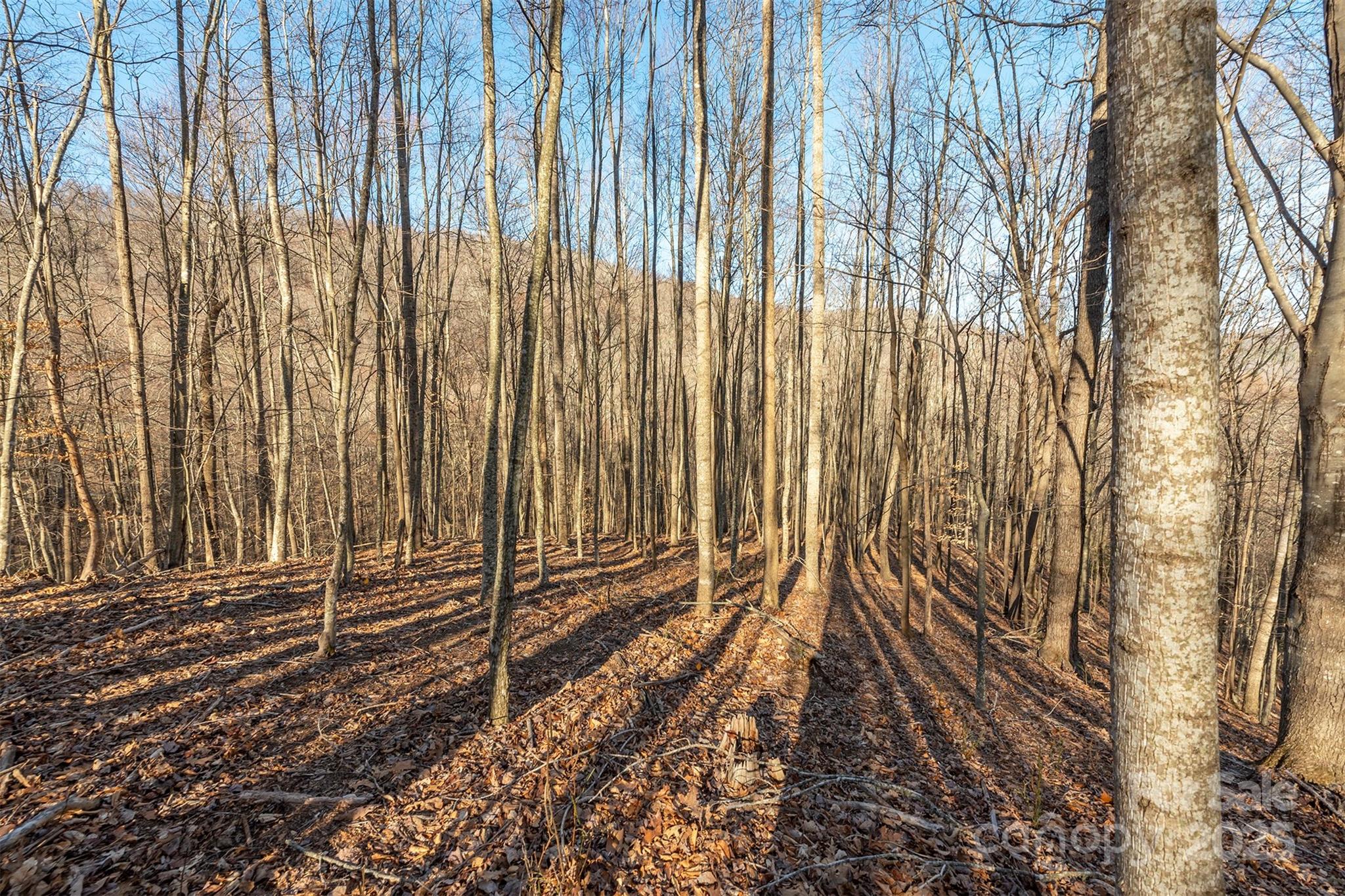 885 Stoney Stream Lane Arden NC 28704