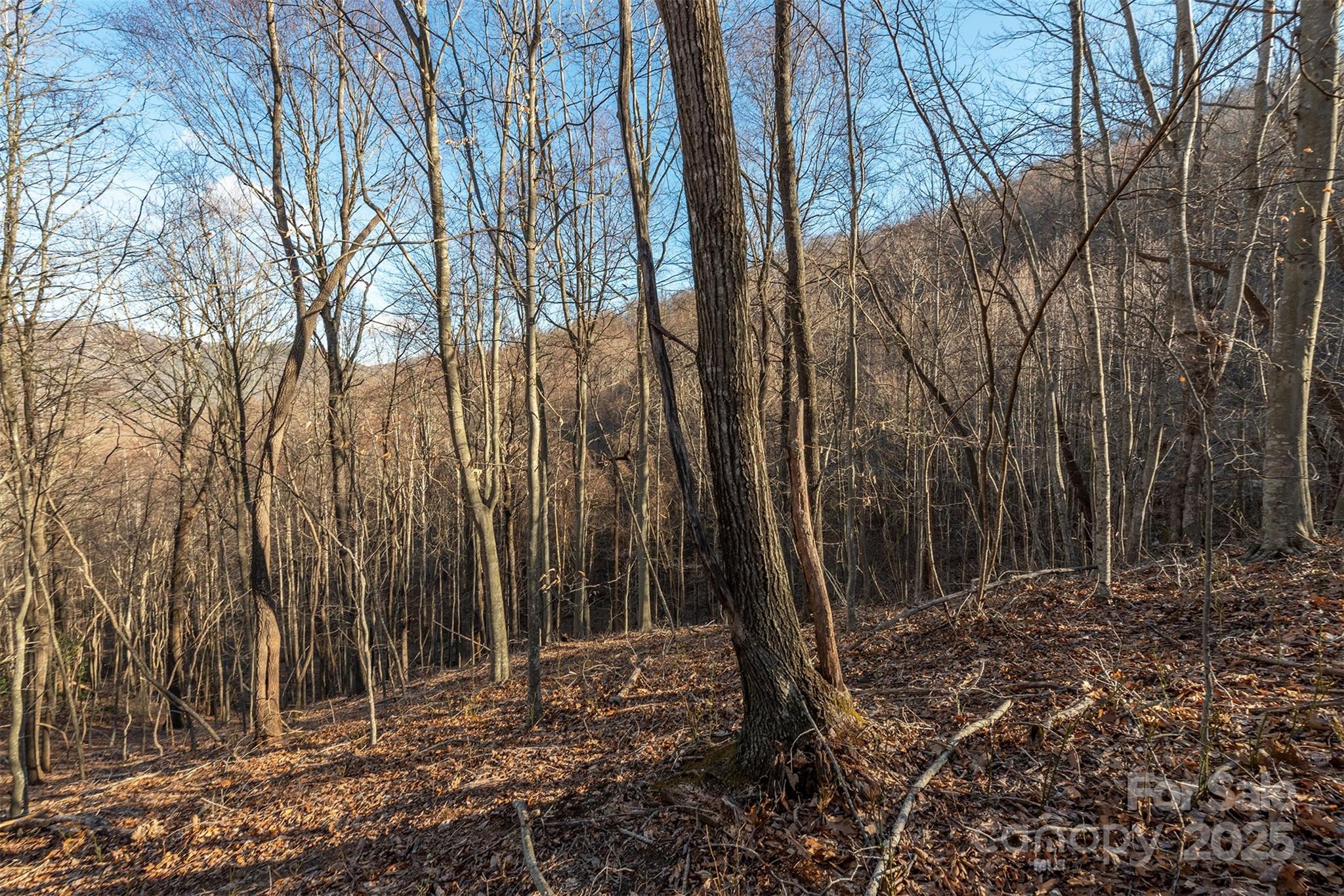 885 Stoney Stream Lane Arden NC 28704