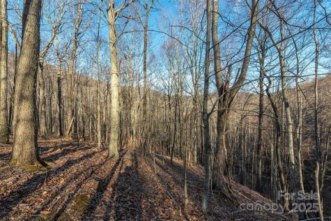885 Stoney Stream Lane Arden NC 28704
